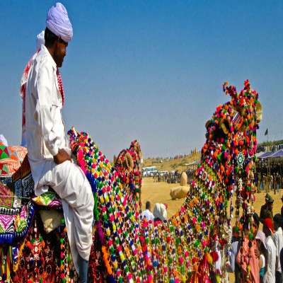 Desert Festival Place to visit